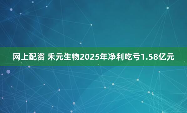 网上配资 禾元生物2025年净利吃亏1.58亿元