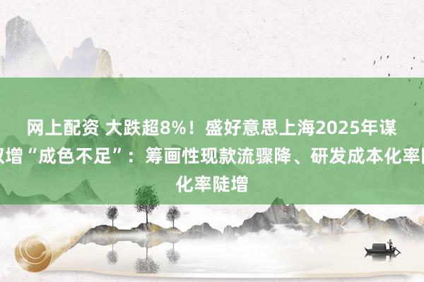网上配资 大跌超8%！盛好意思上海2025年谋利双增“成色不足”：筹画性现款流骤降、研发成本化率陡增