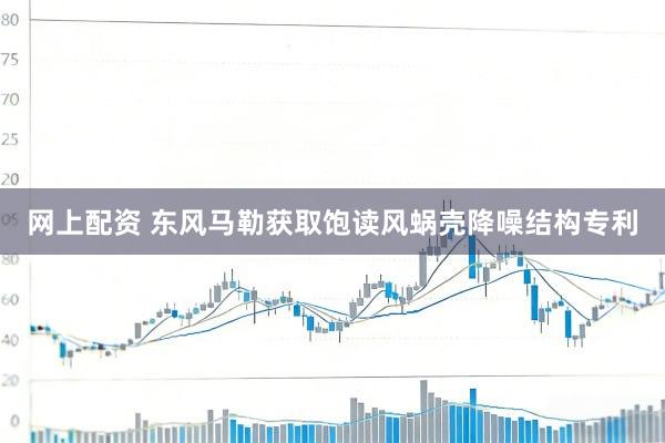 网上配资 东风马勒获取饱读风蜗壳降噪结构专利