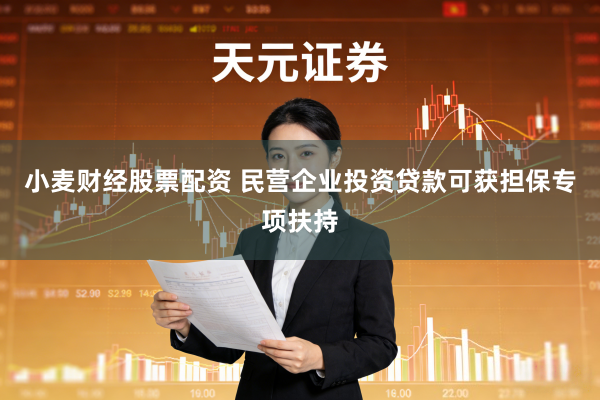 小麦财经股票配资 民营企业投资贷款可获担保专项扶持
