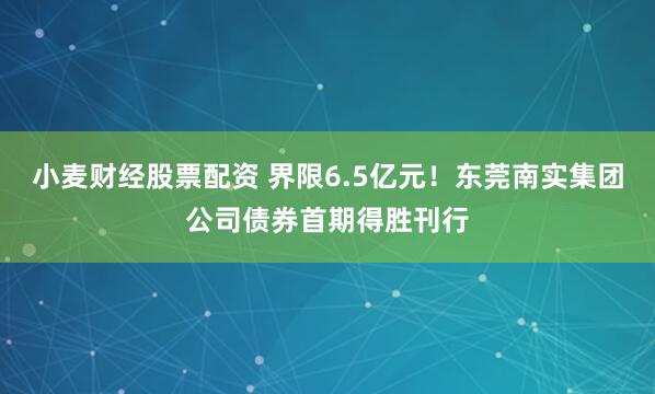 小麦财经股票配资 界限6.5亿元！东莞南实集团公司债券首期得胜刊行
